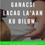 Ganacsi lacag la.an ku bilow