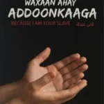 WAXAAN AHAY ADDOONKAAGA